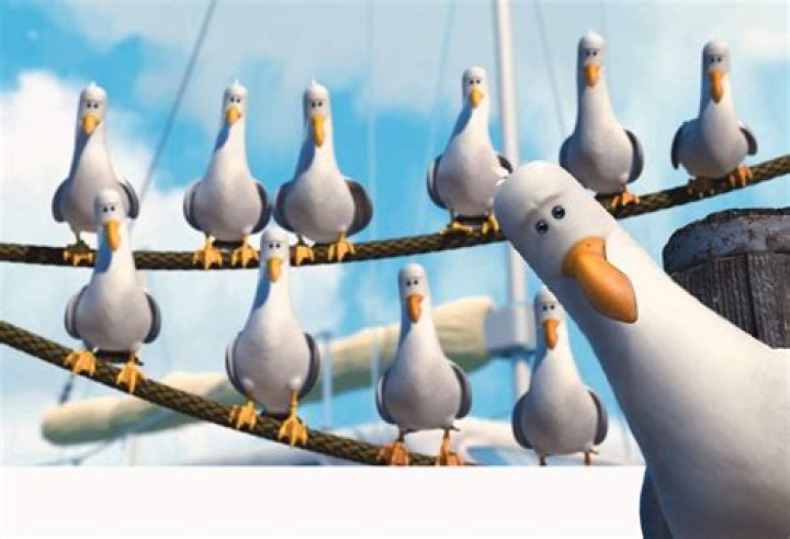 Do the seagulls in Finding Nemo say mine or mate? Celebrity ·