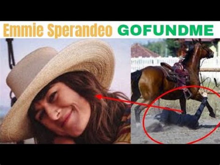 Emmie Sperandeo Accident Details Gofundme Age And Wikipedia ·