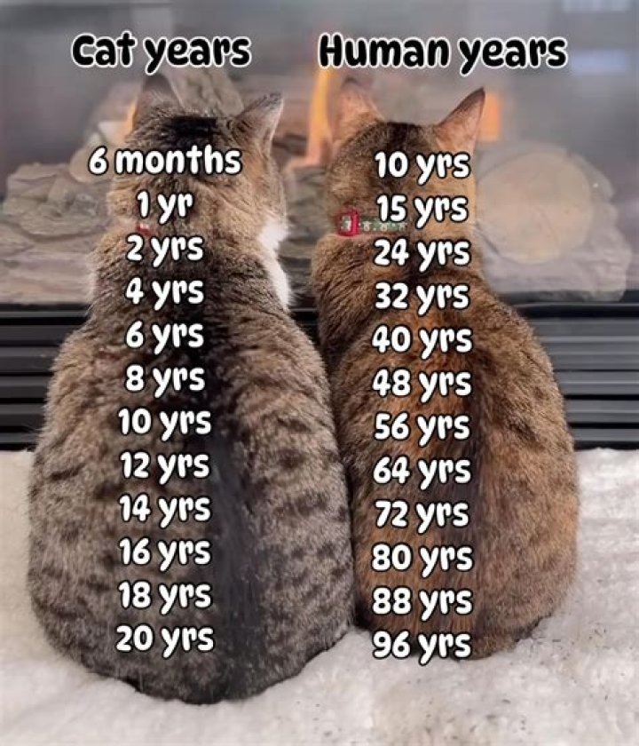 How The 19 Years Old Marriage Ended