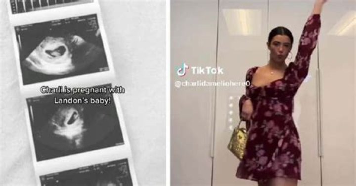 Is Charli Damelio Pregnant? Video Gone Viral On Tiktok ·