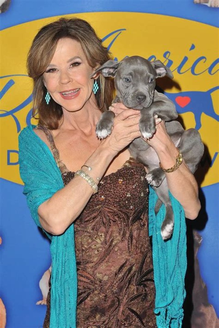 June Blair Net Worth ·