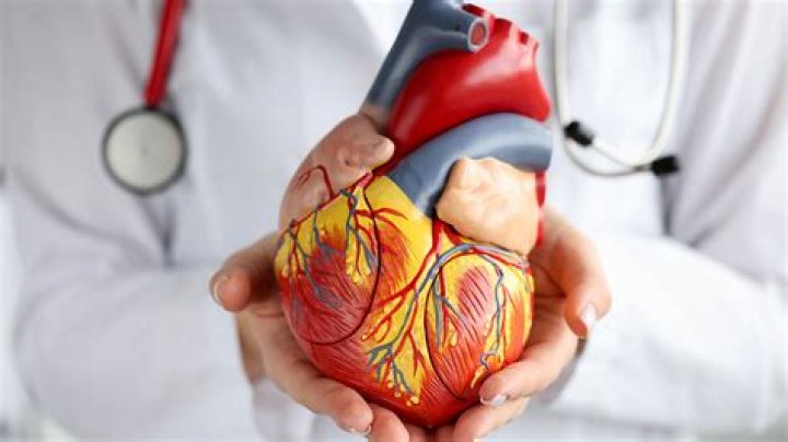 Lauren Gilstrap Accident: A Tragic Loss for the Cardiology Community