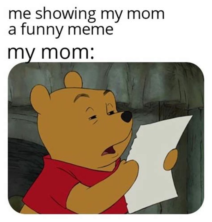 A Guide To "Me Showing My Mom A Meme"