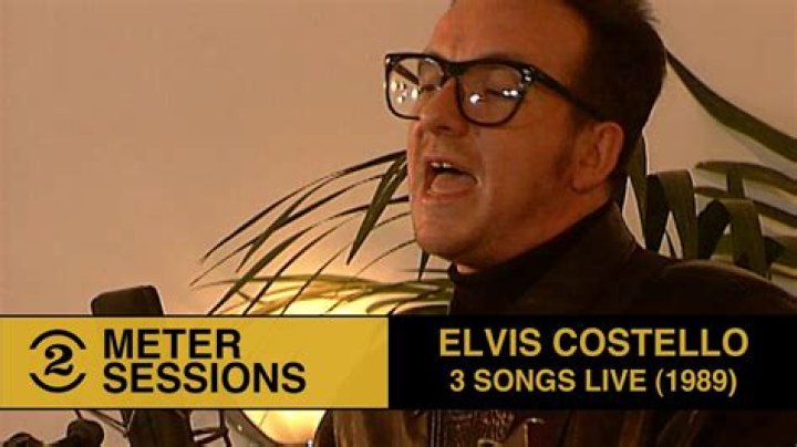 Meet The Three Sons Of Elvis Costello