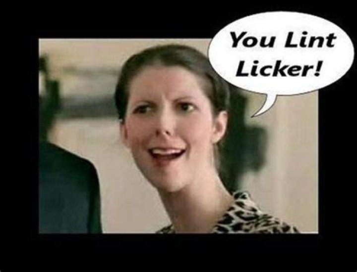 Discoveries With Orbit Commercial Lint Licker