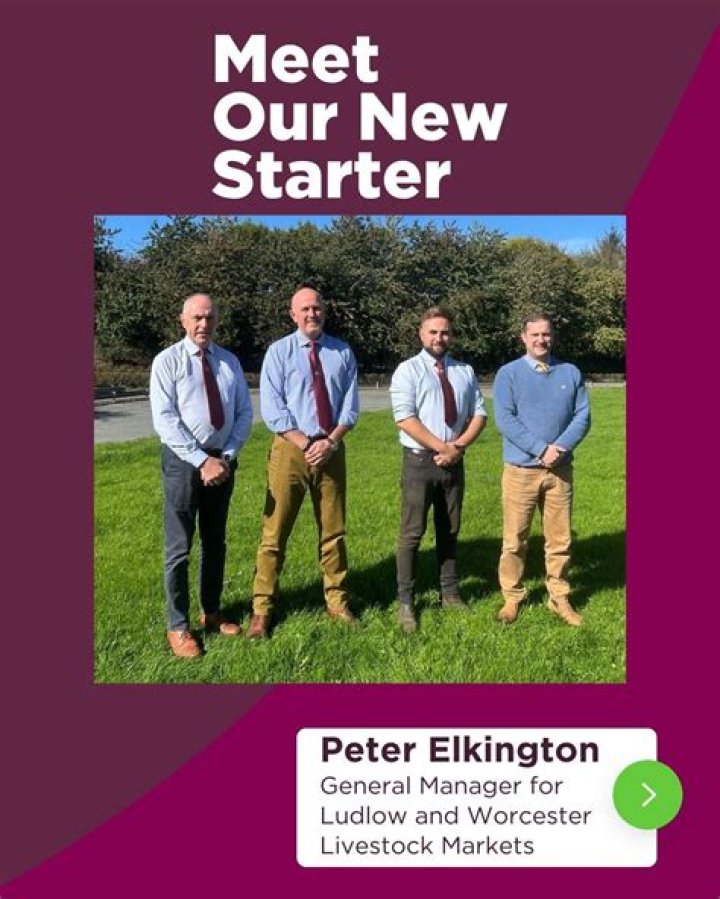 Peter J. Elkington Net Worth ·