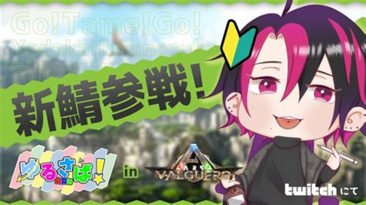 Heres What Happens to the Groceries on Supermarket Sweep