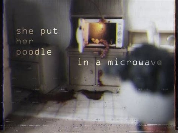 Uncover The Disturbing Truth Behind "She Put Her Poodle In The Microwave"