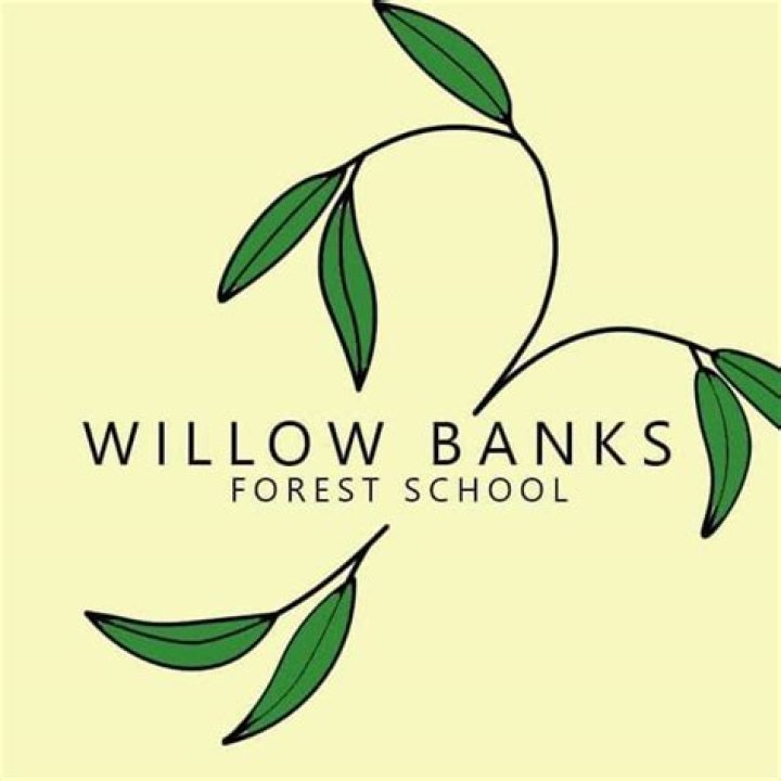 Willow Banks Bio (Wiki) | BlinkVlog